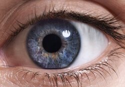 Ранее неизвестный науке слой роговицы глаза назвали именем его первооткрывателя
