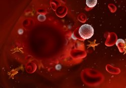 Ценные «агенты» иммунной системы: обнаружены новые свойства тромбоцитов крови