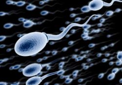 Отсутствие сперматозоидов в эякуляте повышает шансы мужчин заболеть раком
