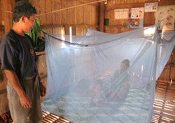 Экспресс-анализ на малярию недостаточно точен: ученые критикуют коллег из ВОЗ