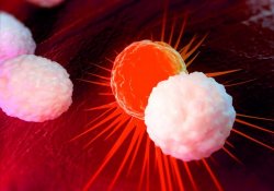 Компоненты иммунной системы уличены в «сотрудничестве» с раковыми клетками