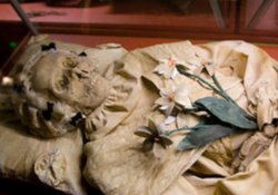 В 200-летней мумии обнаружена ДНК туберкулезной палочки «доантибиотиковой» эры