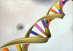 Массовый геномный скрининг в настоящем поможет в будущем