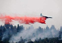 Эхо войны: даже рак кожи у ветеранов Вьетнама аномальный