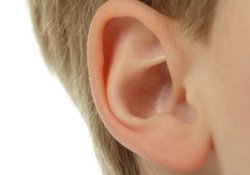 Ухо на магнитах: новое слово в протезировании