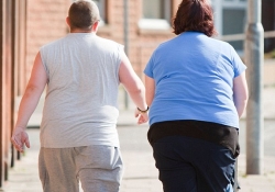 Тучностью можно заразиться: ученые открыли вирус ожирения