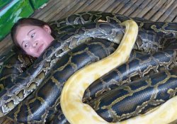 «Змеетерапия» – модный оздоровительный тренд