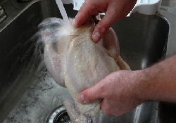 Не мойте сырую курятину – опасно для здоровья