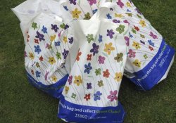 Бактерицидные вместо бесплатных – новая тара