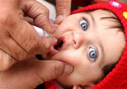 Полиомиелит: африканская беда в Бразилии