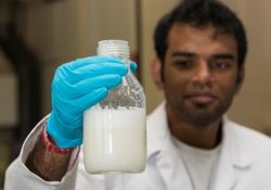 Безупречное молоко «выдаивают» в лаборатории