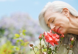 Обоняние и зрение помогают «поймать» Альцгеймера