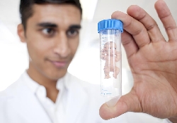 Суррогатное материнство поневоле – драма в Италии