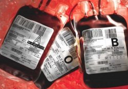Нормативы хранения донорской крови, возможно, придется пересмотреть