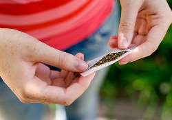 Чем опасна марихуана для подростков