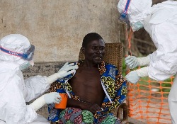 Вирусная лихорадка Эбола может передаваться половым путем