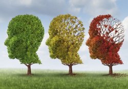 Болезнь Альцгеймера: заболевание может вызываться контактом с алюминием