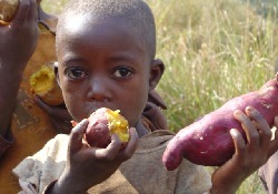 В эпоху эпидемии ожирения 30% населения планеты страдает от «скрытого голода»