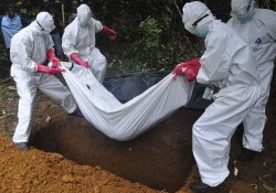 Эпидемия лихорадки Эбола: первичным источником инфекции оказался 2-летний малыш