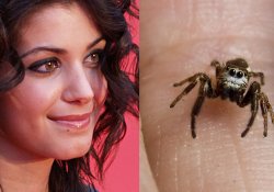 Крохотный паук «свил гнездо» в ухе популярной певицы