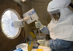 Начались клинические испытания вакцины от вирусной лихорадки Эбола