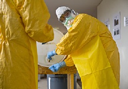 Лихорадка Эбола: ученые сообщают об эффективности экспериментального лекарства