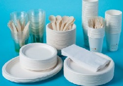 Нью-Йорк станет городом без одноразовой посуды – решение мэрии Большого яблока