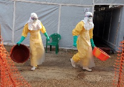 Оптимизм был преждевременным: новый всплеск заболеваемости лихорадкой Эбола