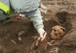 Раскопки древних могил помогут открыть тайны возбудителя холеры