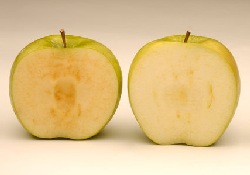 Скоро появятся яблоки, которые не темнеют