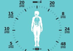 Составлен график положительных изменений в организме бывшего курильщика