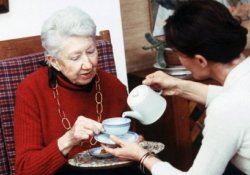 Прочность костей в пожилом возрасте обеспечит чай