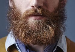 Мужчинам на заметку: грязнее немытых рук может быть только неухоженная борода…