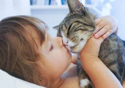 Как любимые домашние кошки и тараканы могут вызвать слепоту