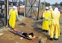 Рост заболеваемости лихорадкой Эбола вызвали «уклонисты»