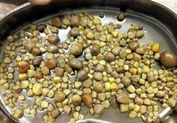 420 камней в почках – результат чрезмерной любви к «творогу» из сои