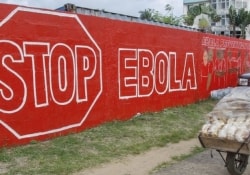 Конец эпидемии лихорадки Эбола близок