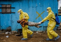 Лихорадка Эбола в Сьерра-Леоне: новых больных больше нет!