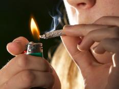 Как курение марихуаны приводит к развитию предиабета