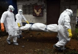 Лихорадка Эбола отступает: в странах Африки нет новых случаев болезни