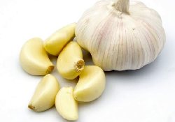 Медики столкнулись с редчайшим случаем непереносимости свежего чеснока