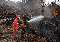 Лесные пожары в Индонезии угрожают здоровью десятков миллионов жителей