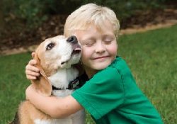 Собака – средство профилактики детской астмы