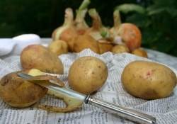 Блюда из картофеля – отличное средство профилактики рака желудка