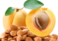 Миф о «витамине В17»: в Австралии запретили продажу абрикосовых косточек
