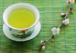 Изучение свойств зеленого чая подсказало новый метод лечения артрита