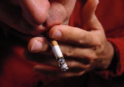 Табачный дым: дружит с плохими бактериями, враждует с полезными