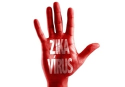Доказана способность вируса Зика передаваться половым путем