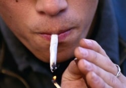 Увлечение «травой» в юном возрасте может сказаться на здоровье годы спустя