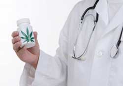Власти ФРГ легализируют медицинское употребление марихуаны